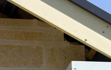 soffit repair Woolstanwood